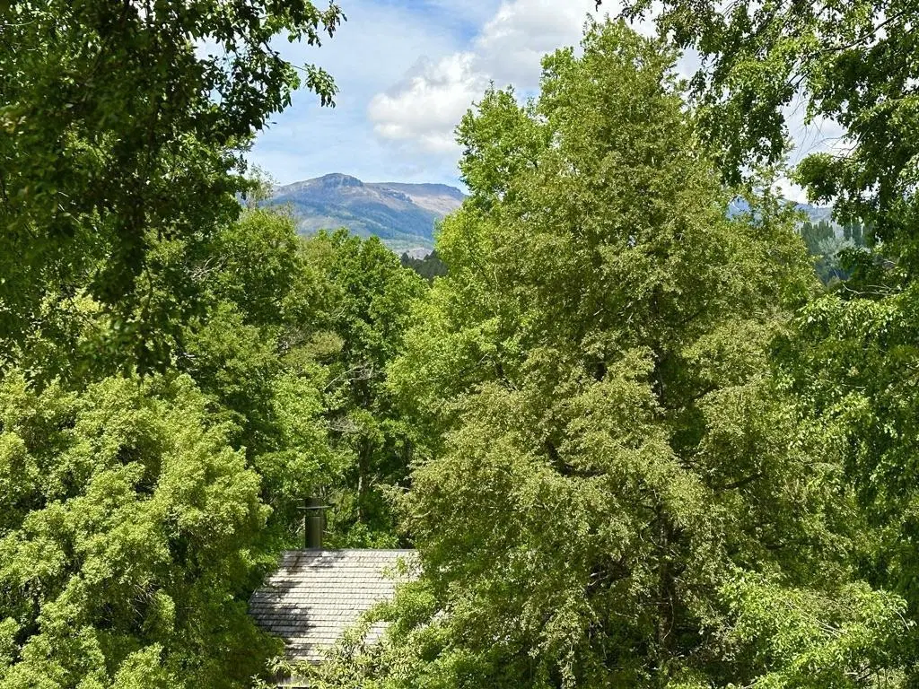 Casa   Cabaña Independiente en Altos del Sol – Gran Lote y Potencial- San Martin de los Andes 2