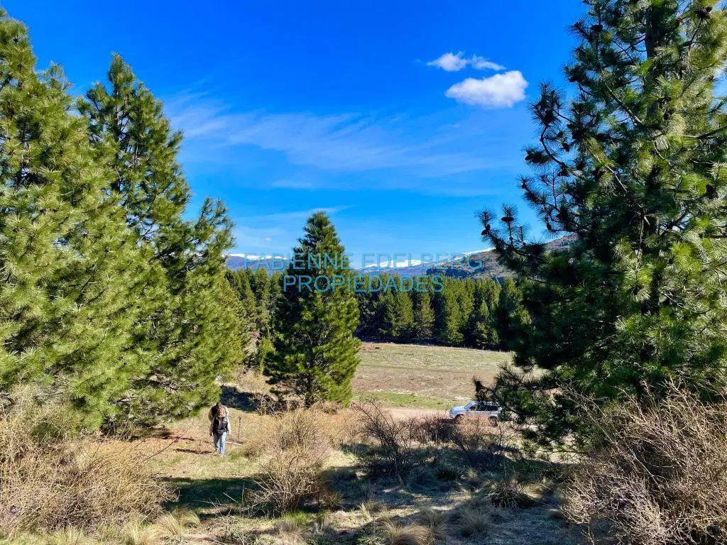 Venta Lote 3016 m2 en el Desafio Resort - San Martin De Los Andes 2