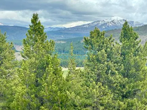 Venta Lote 3016 m2 en el Desafio Resort - San Martin De Los Andes 3