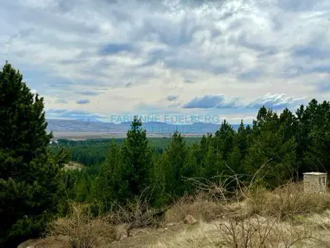 Venta Lote 3016 m2 en el Desafio Resort - San Martin De Los Andes 2