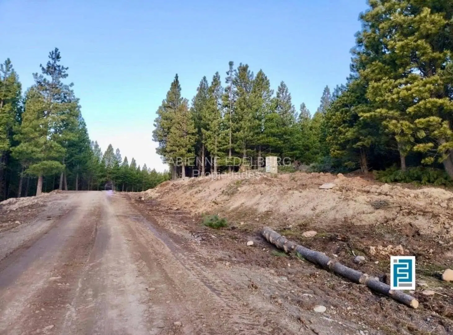Terreno en venta Mza B en El desafío Mountain Resort - San Martin De Los Andes 5
