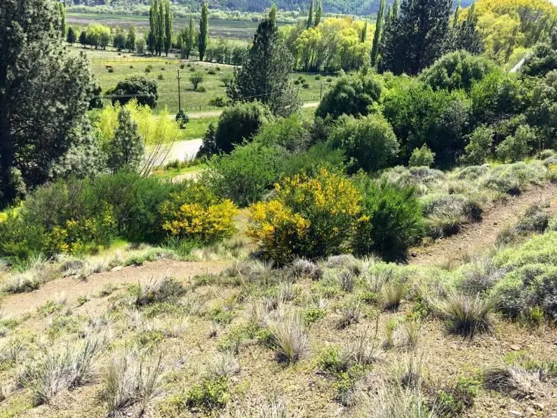 Venta 2 lotes para unificar total 2600 m2 COMERCIAL - RUTA 40 - San Martin de los Andes 4