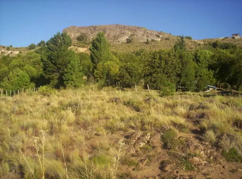 Venta 2 lotes para unificar total 2600 m2 COMERCIAL - RUTA 40 - San Martin de los Andes 8