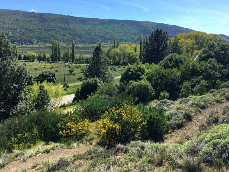 Venta 2 lotes para unificar total 2600 m2 COMERCIAL - RUTA 40 - San Martin de los Andes 3