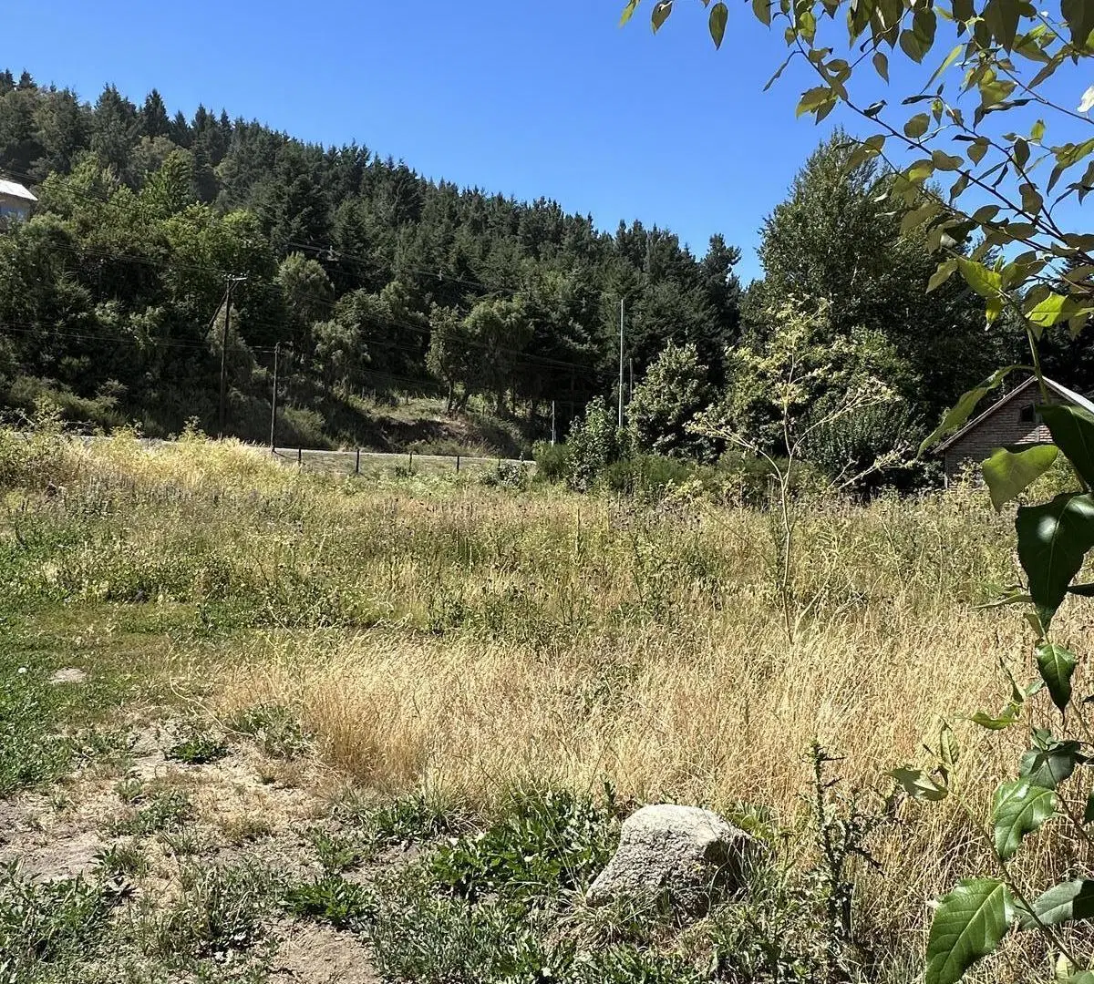 Terreno en Cortaderas sobre Callejon de Gingin VISTAS ESPLENDIDAS | San Martin De Los Andes 5