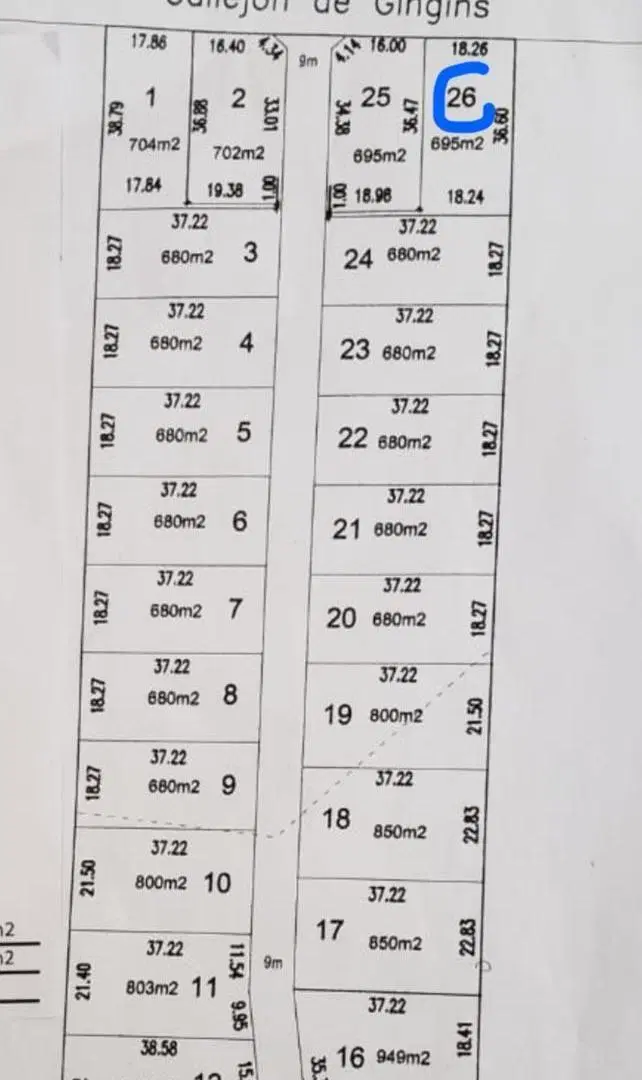 Plano 1