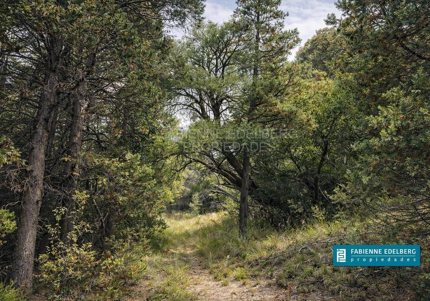 Foto de VENTA EXCELENTES 3 HECTAREAS EN VILLA LAGO MELIQUINA, imagen 1