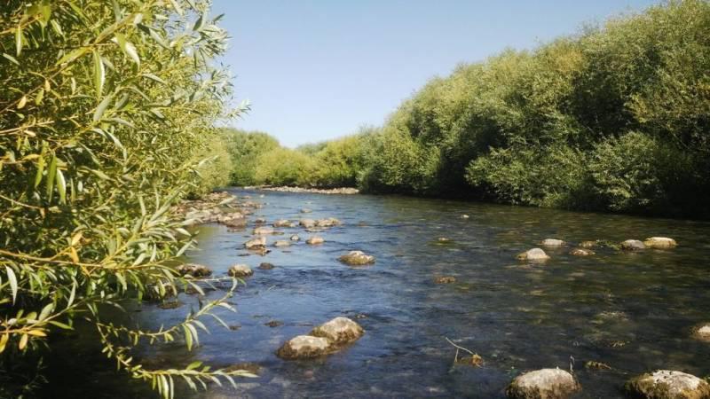 Foto de VENTA 2 HECTAREAS S/ RÍO QUILQUIHUE SAN MARTIN DE LOS ANDES, imagen 1