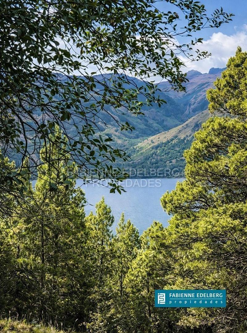 Foto de VENTA EXCELENTES 3 HECTAREAS EN VILLA LAGO MELIQUINA, imagen 2