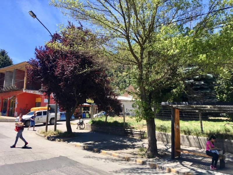 Foto de VENTA lote comercial Av Koessler - San Martin de los Andes, imagen 5