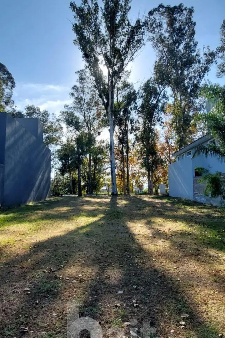 VENDO LOTE SANTINA NORTE VALLE ESCONDIDO CORDOBA 3