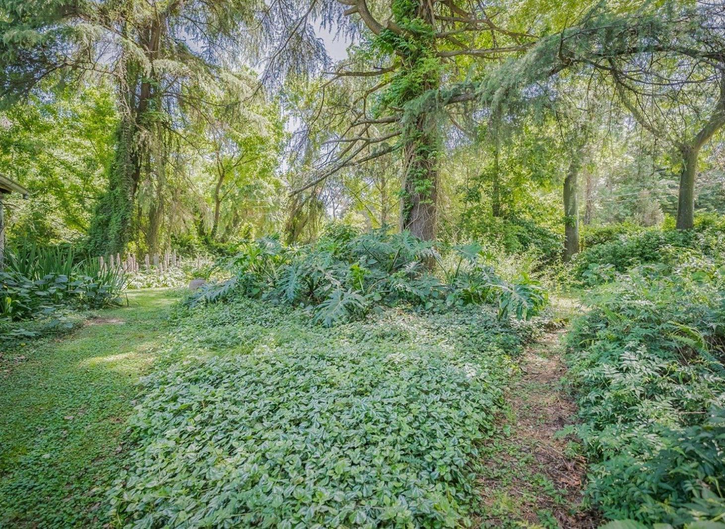CASA QUINTA DE 4200 M2 + PARQUE VEGETACIÓN + PILETA