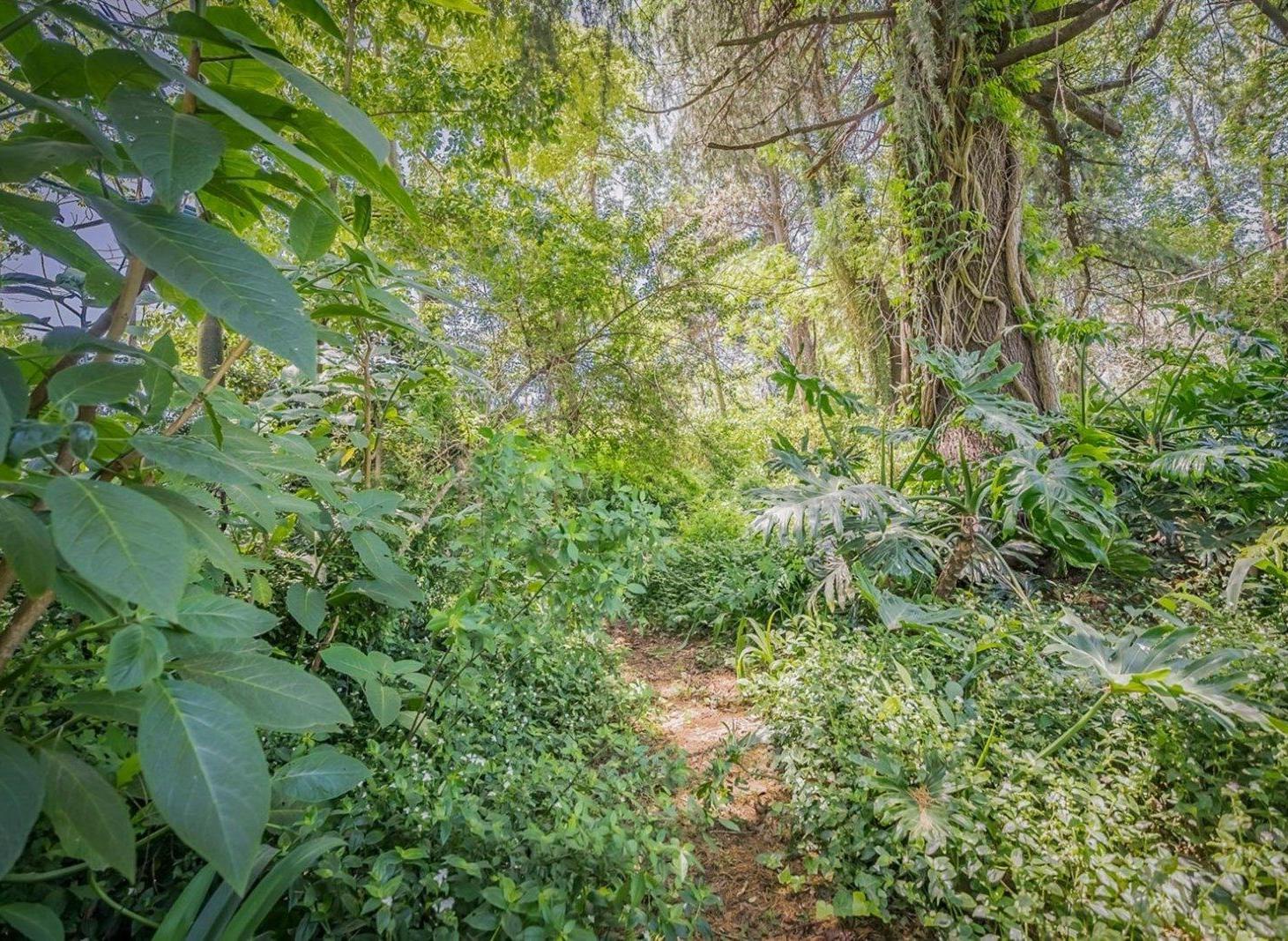 CASA QUINTA DE 4200 M2 + PARQUE VEGETACIÓN + PILETA