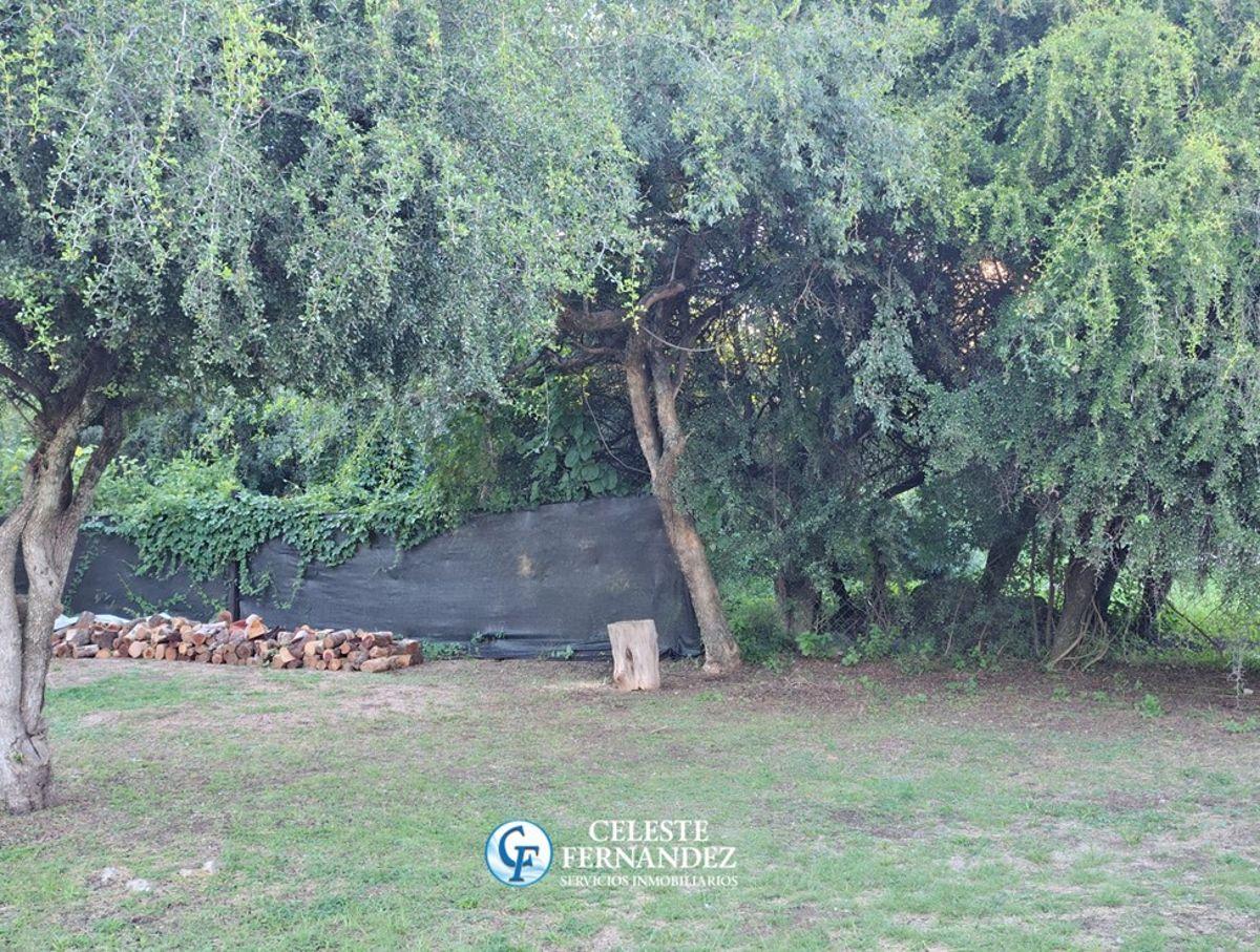 Foto de OPORTUNIDAD! CASA Y DEPARTAMENTO en VENTA, imagen 2