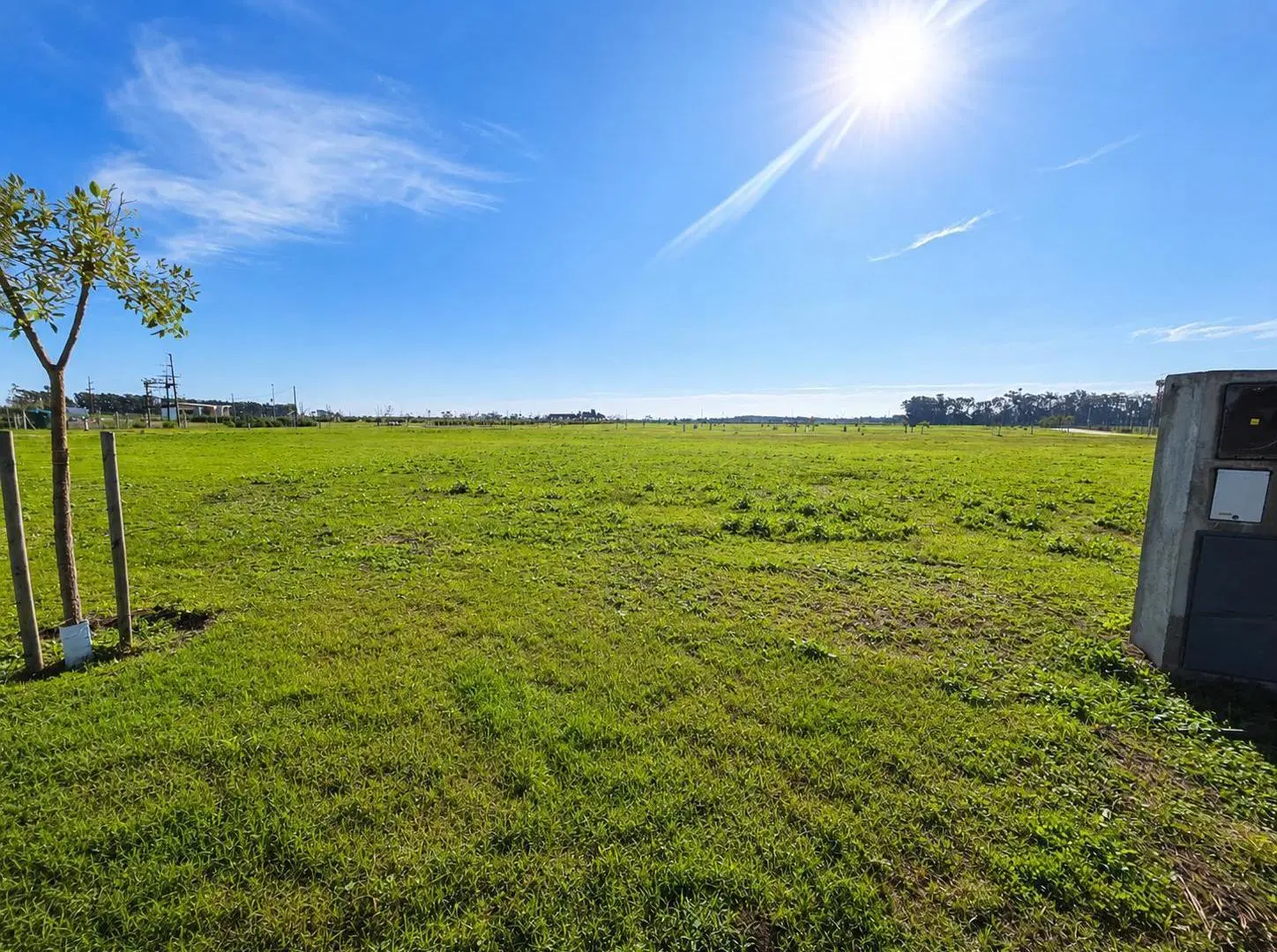 Terreno venta General Lagos Alea 5