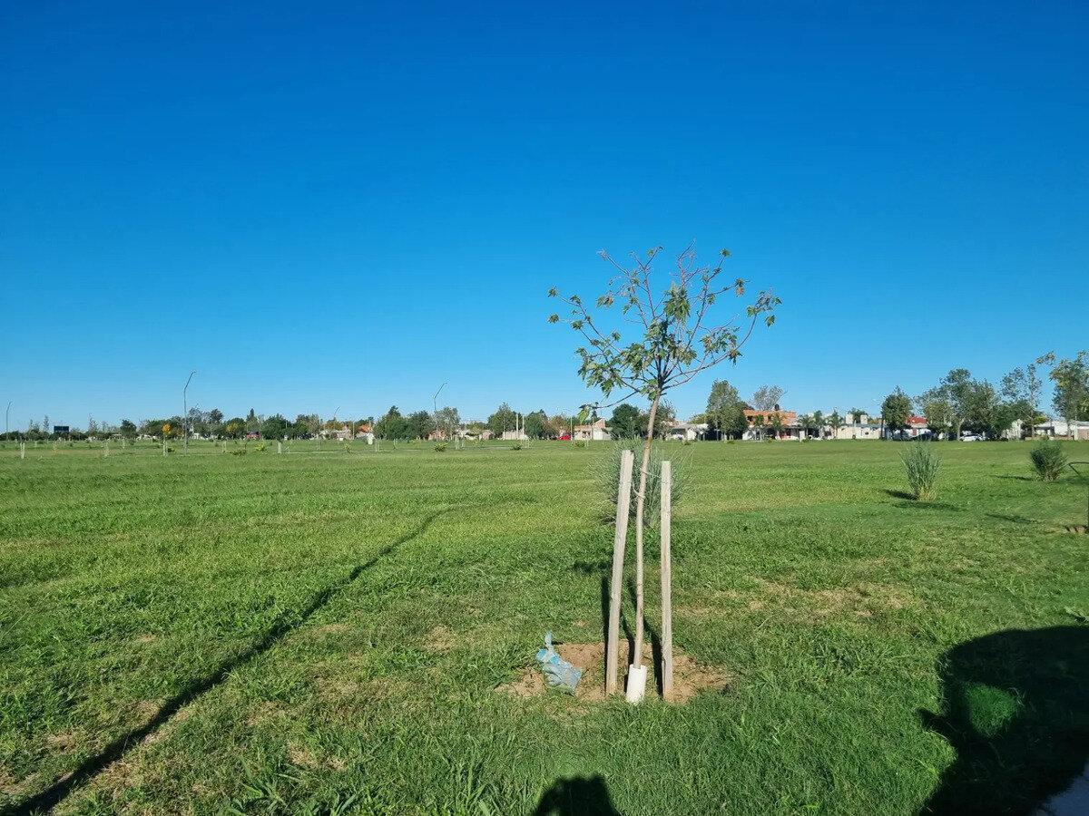 Foto de Terreno / Lote En Venta De 300m2 Ecolagos General Lagos, imagen 4
