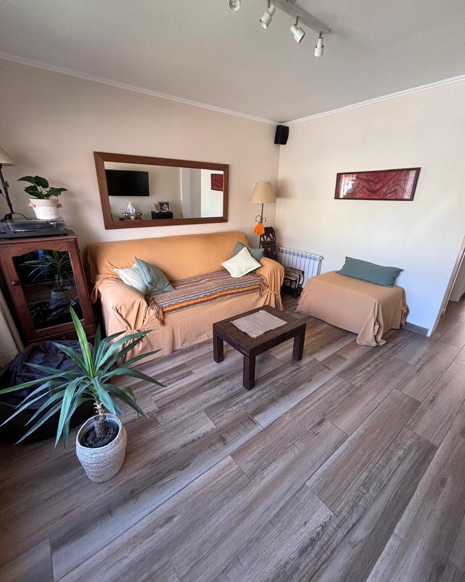 Cagnoli Al 300 (Barrio Uncas) 1