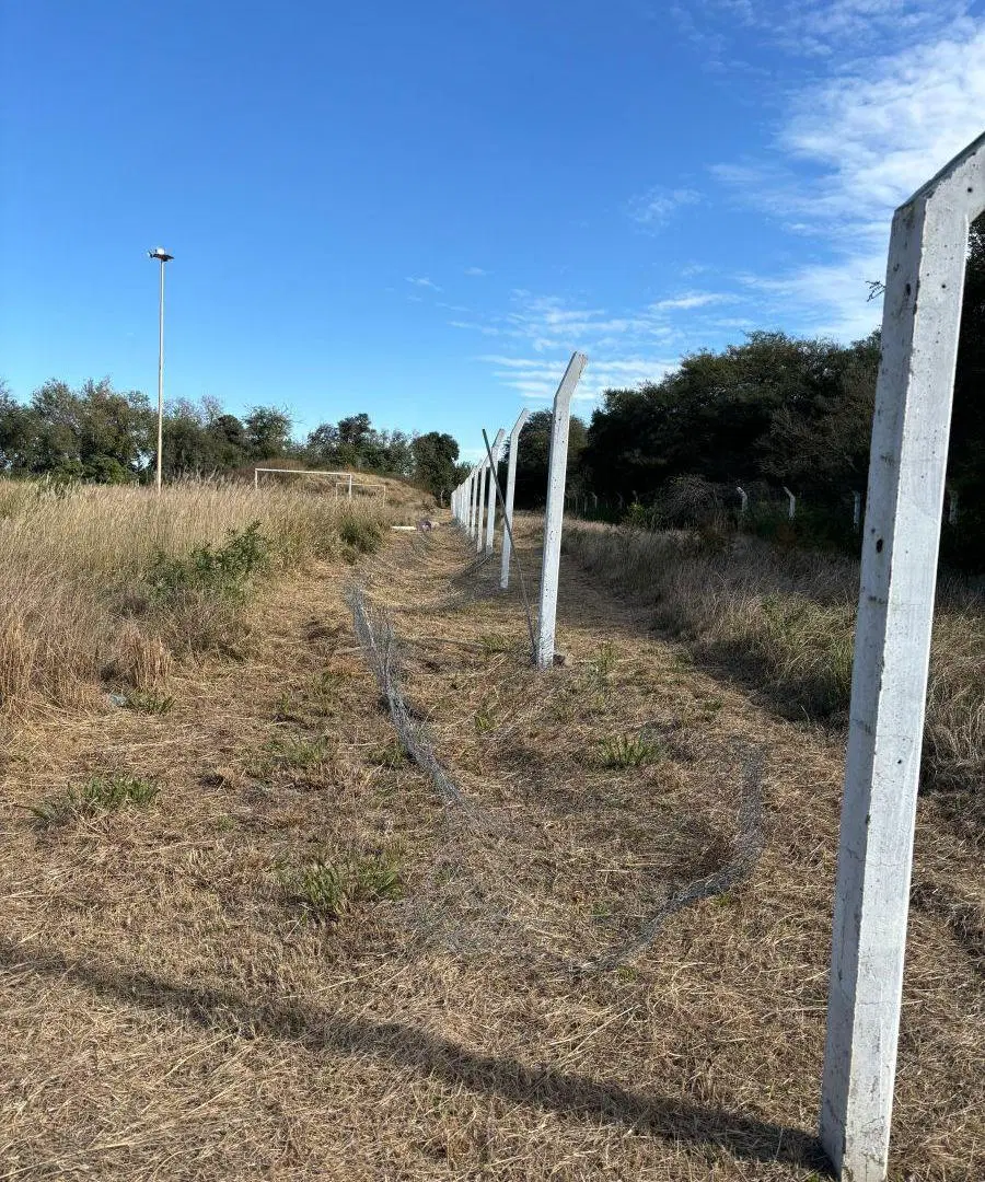 VENTA 6 hectáreas Camino San Carlos Bouwer 4