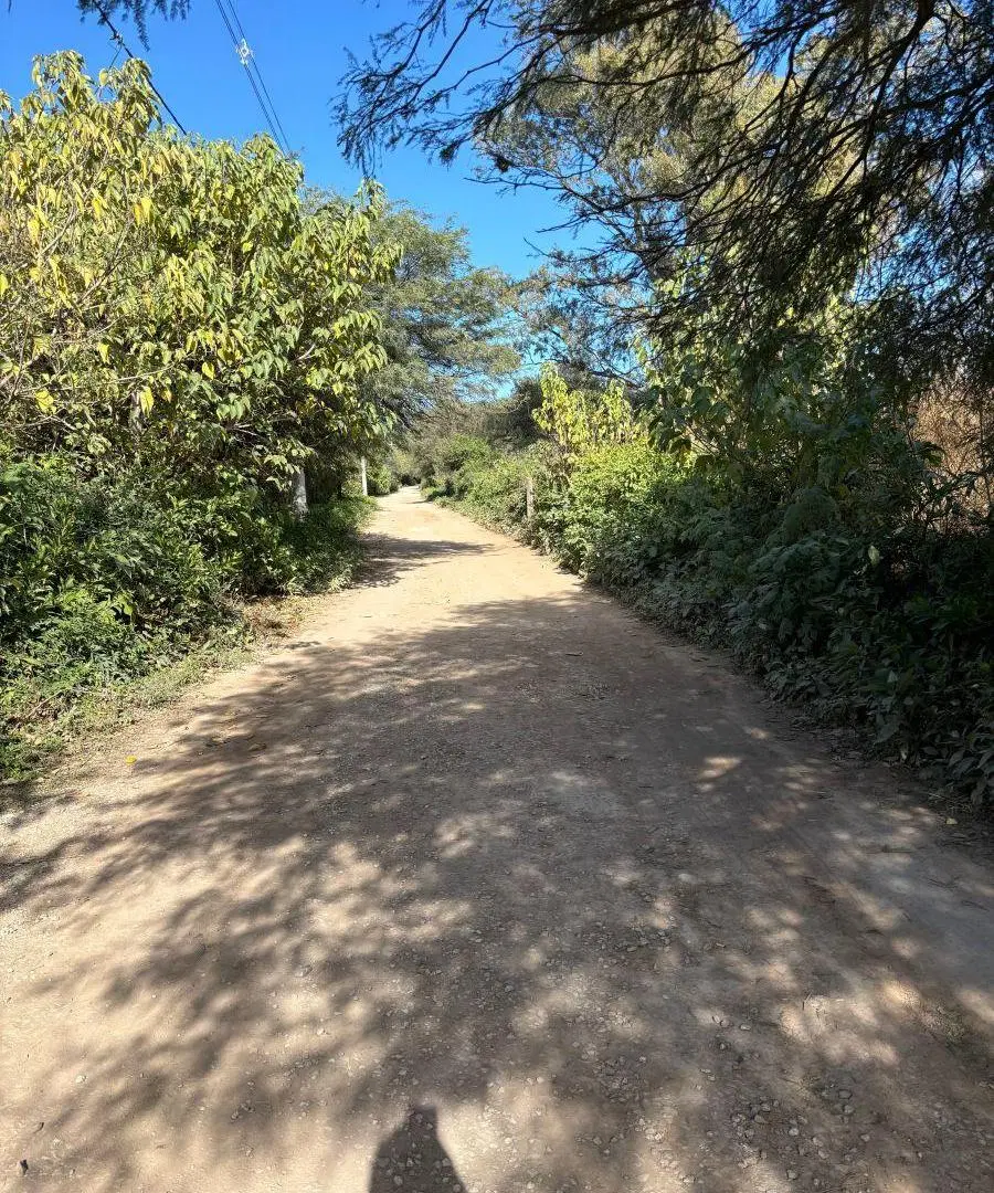 VENTA 6 hectáreas Camino San Carlos Bouwer 5
