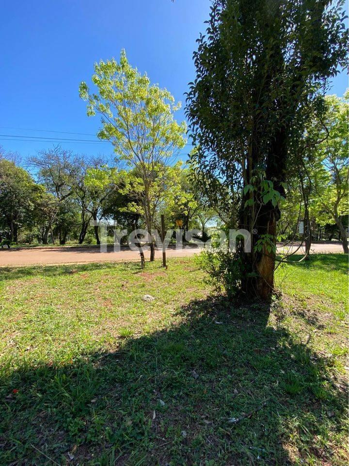 Foto de LOTE EN VENTA - Candelaria, Misiones, imagen 3