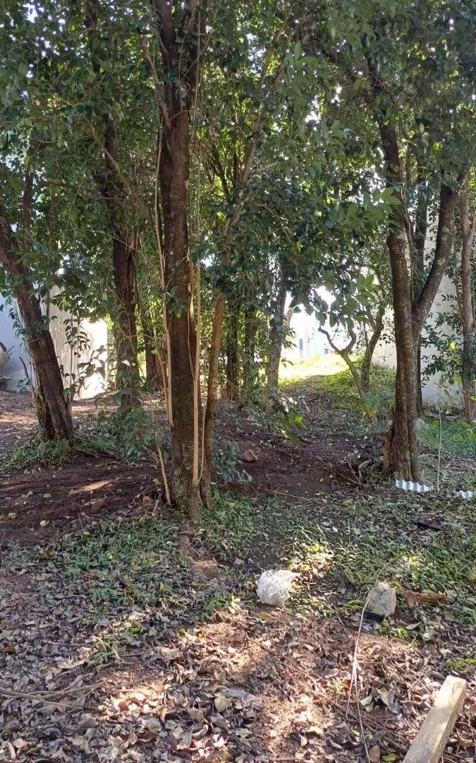VENTA TERRENO VILLA CATALINA 2