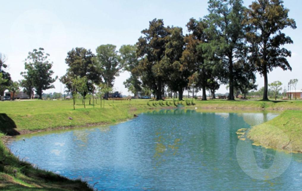 Foto de Lote en venta, San Lucas, imagen 1