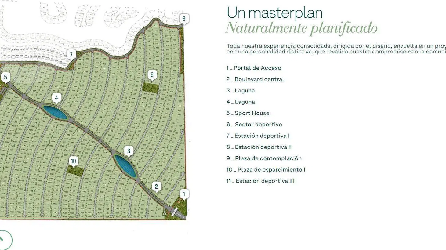Plano 1
