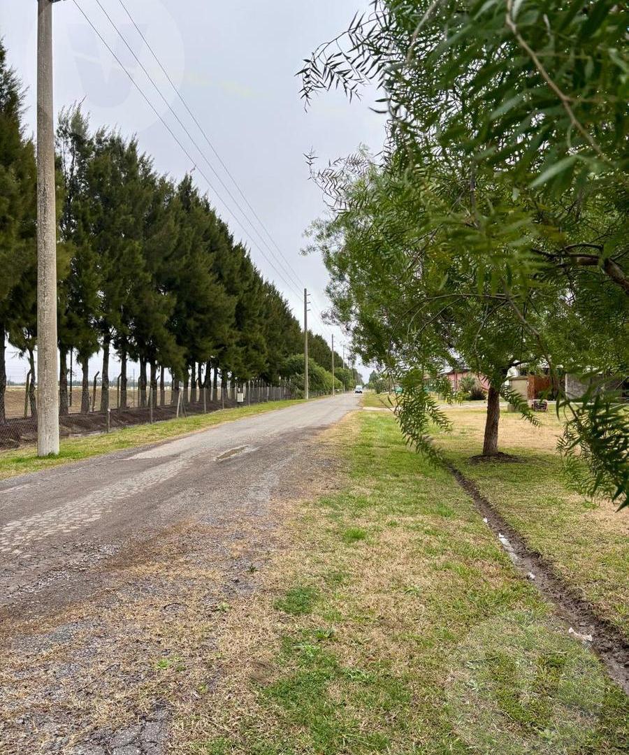 Foto de Lote en venta - Barrio Fincas del Alba, Canning, imagen 5