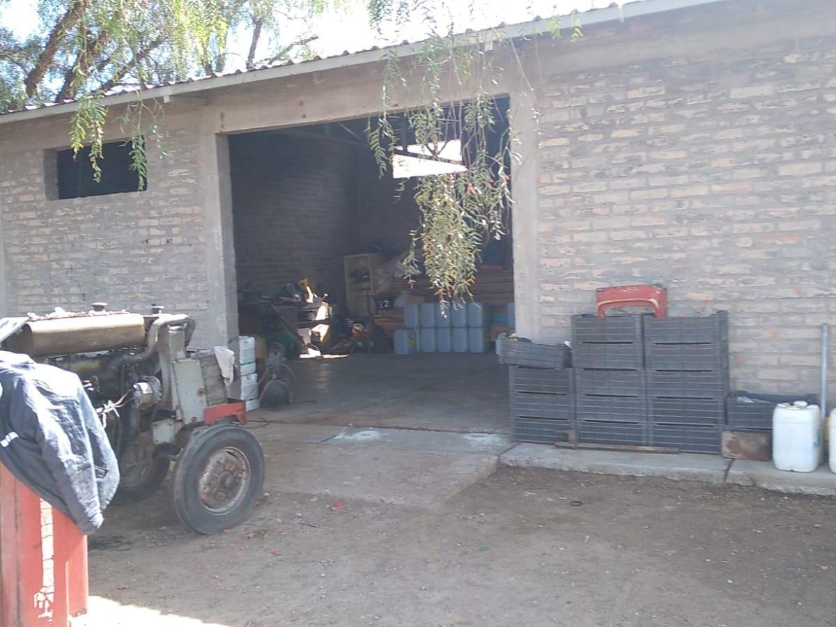Tupungato: Finca Anchoris Report - Vitivinicola 3