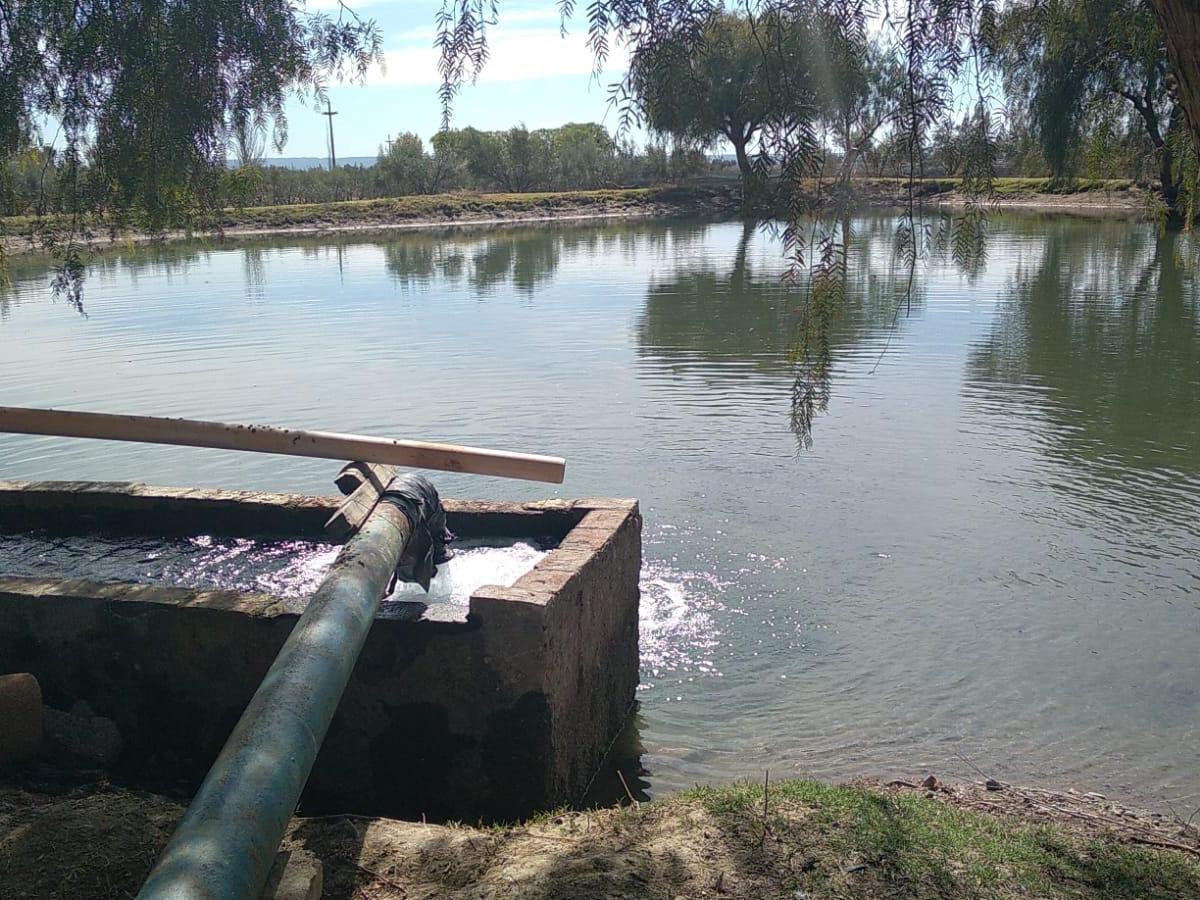 Tupungato: Finca Anchoris Report - Vitivinicola 4