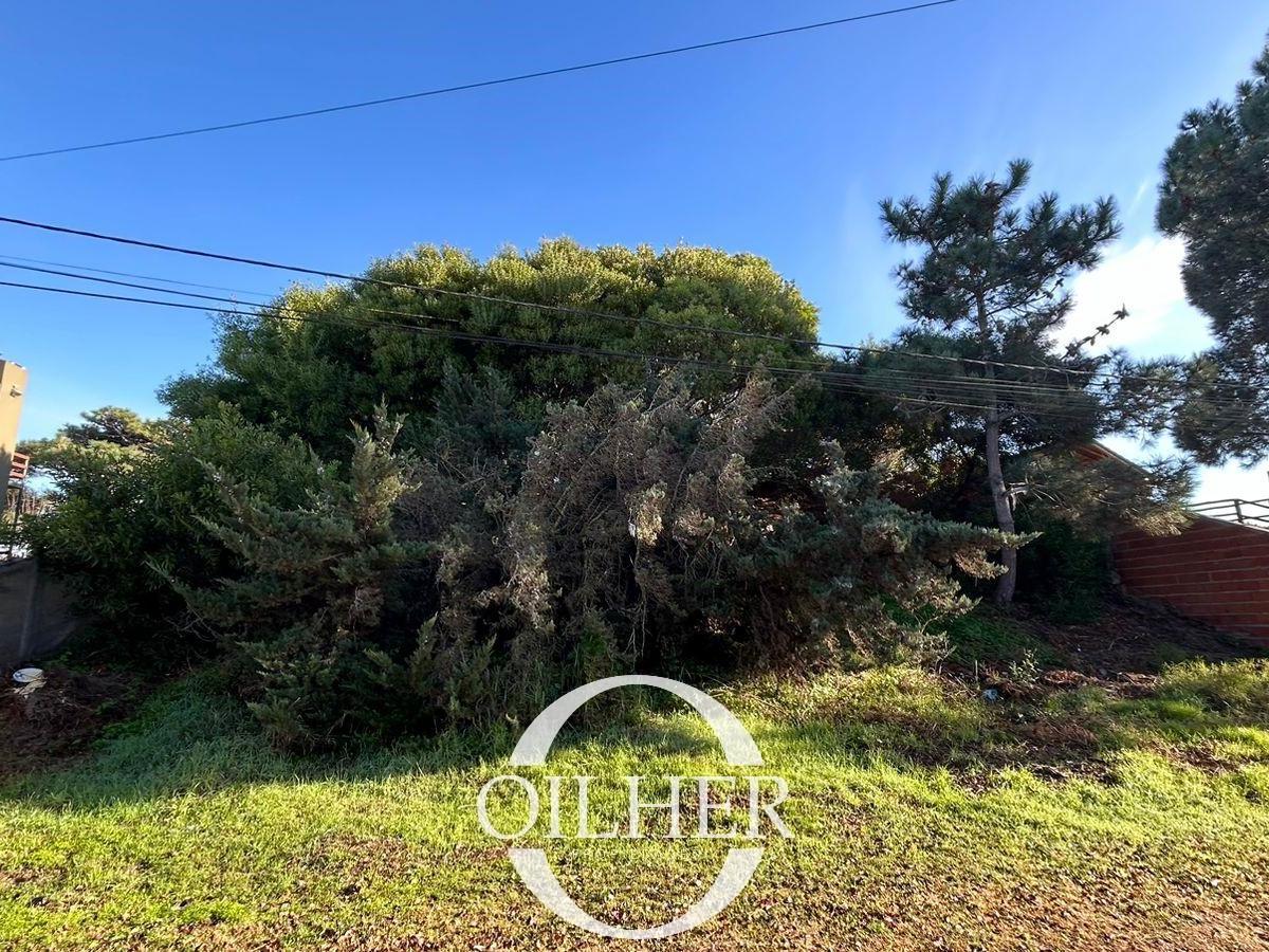 Vendemos Hermoso Lote en Zona Sur - 900 m² 1