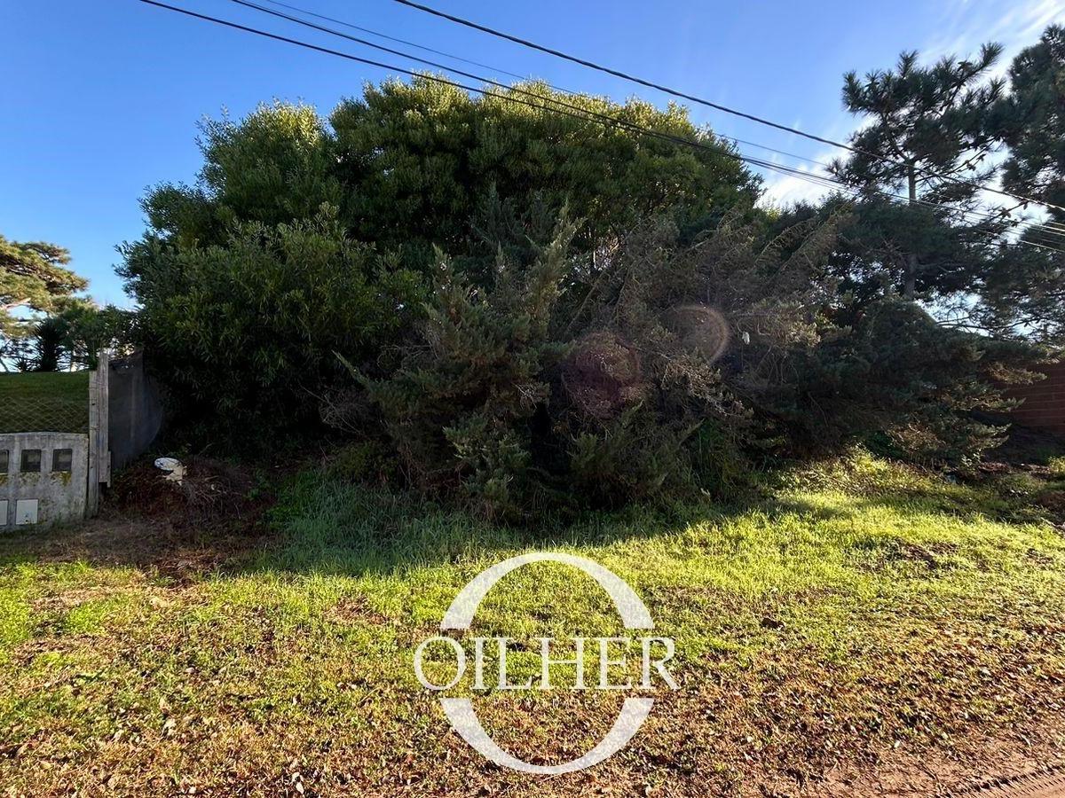 Vendemos Hermoso Lote en Zona Sur - 900 m² 5