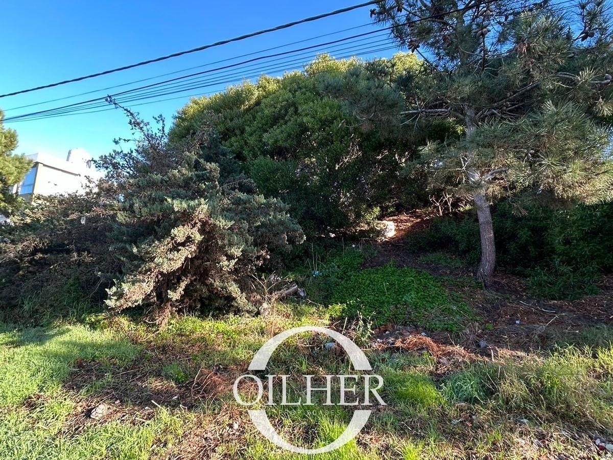 Vendemos Hermoso Lote en Zona Sur - 900 m² 3