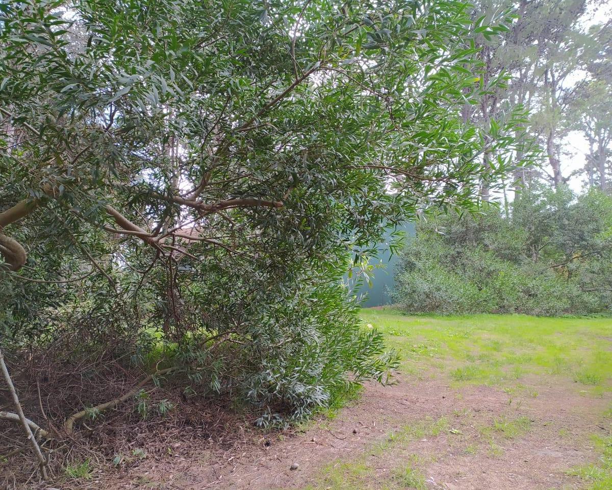 Lote Mar Azul de 10 X 47.5 m 2