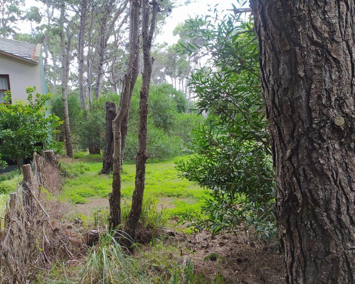 Lote Mar Azul de 10 X 47.5 m 3