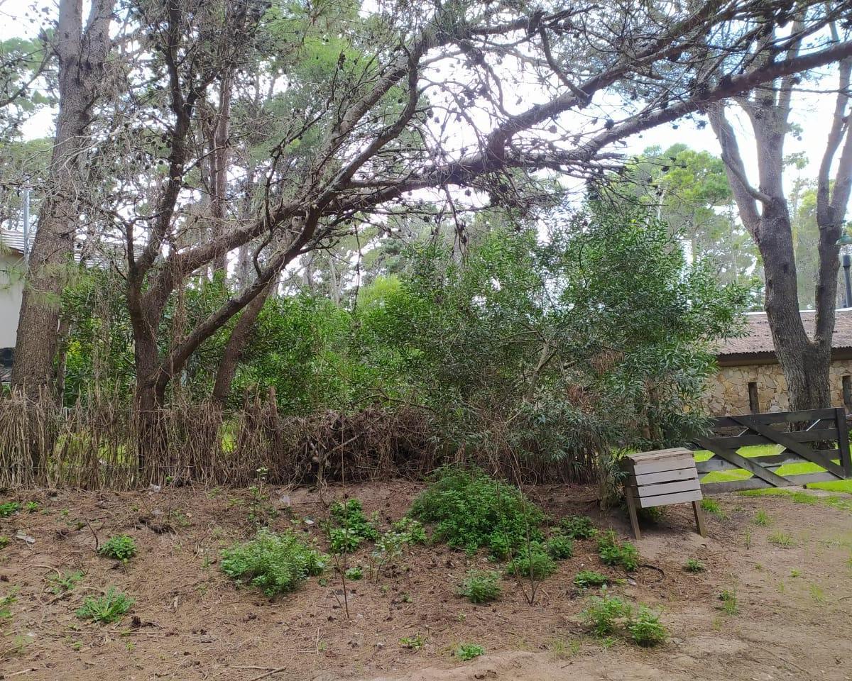 Lote Mar Azul de 10 X 47.5 m 4