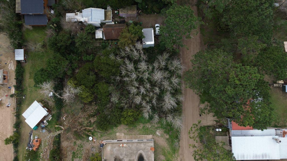 Foto de Lote en venta de 600m2 ubicado en Las Gaviotas, imagen 2