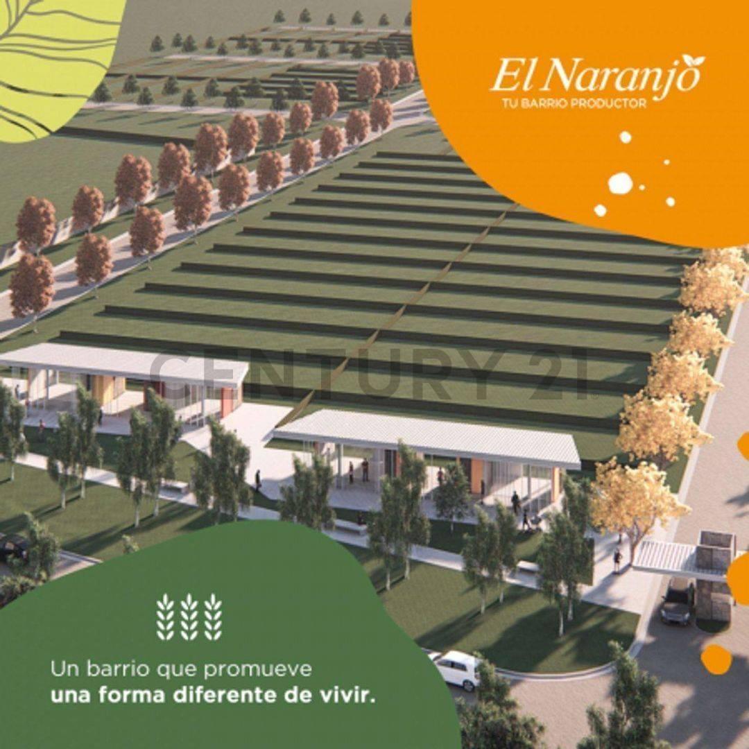 Lote en venta