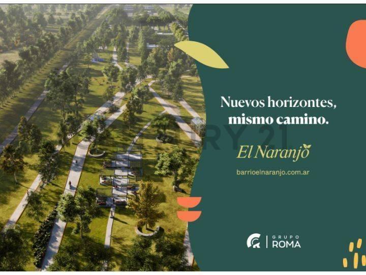 Foto de Lote en venta, imagen 4