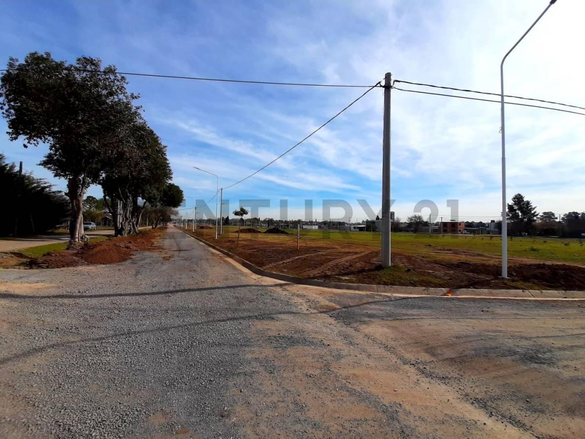 Venta de Lote, Pueblo Esther