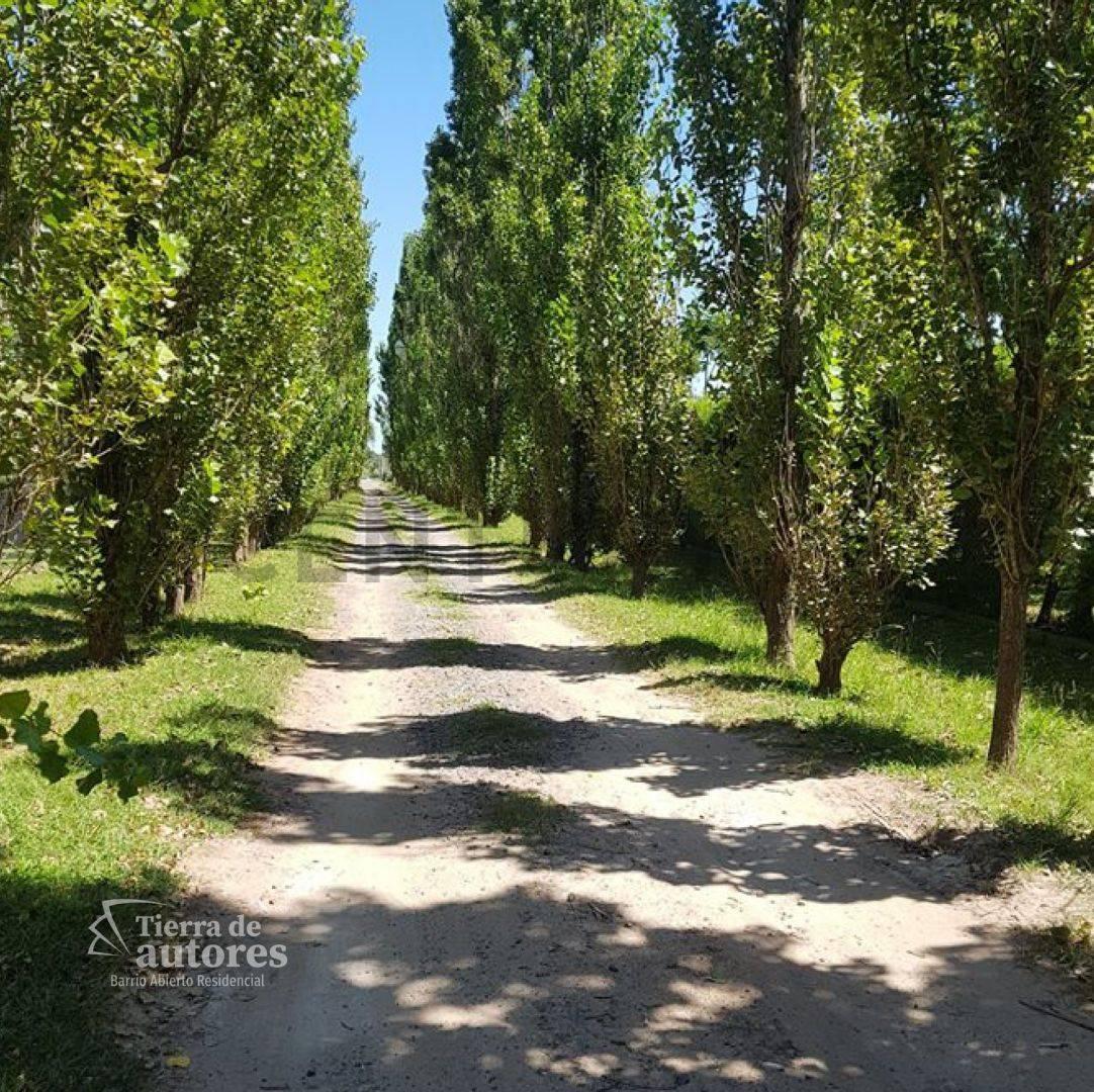 Foto de Venta de Lote, Pueblo Esther, imagen 5