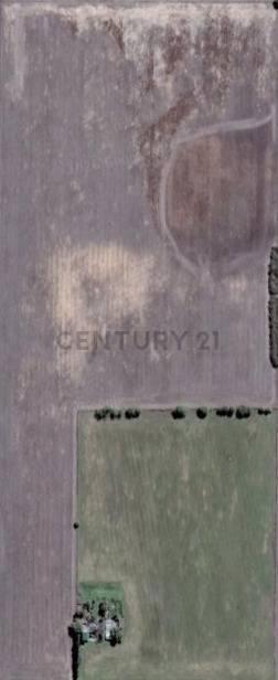 Foto de Campo agrícola 6 Hectareas (60000 m2) - Maciel - Proximidad Ruta 11, imagen 2