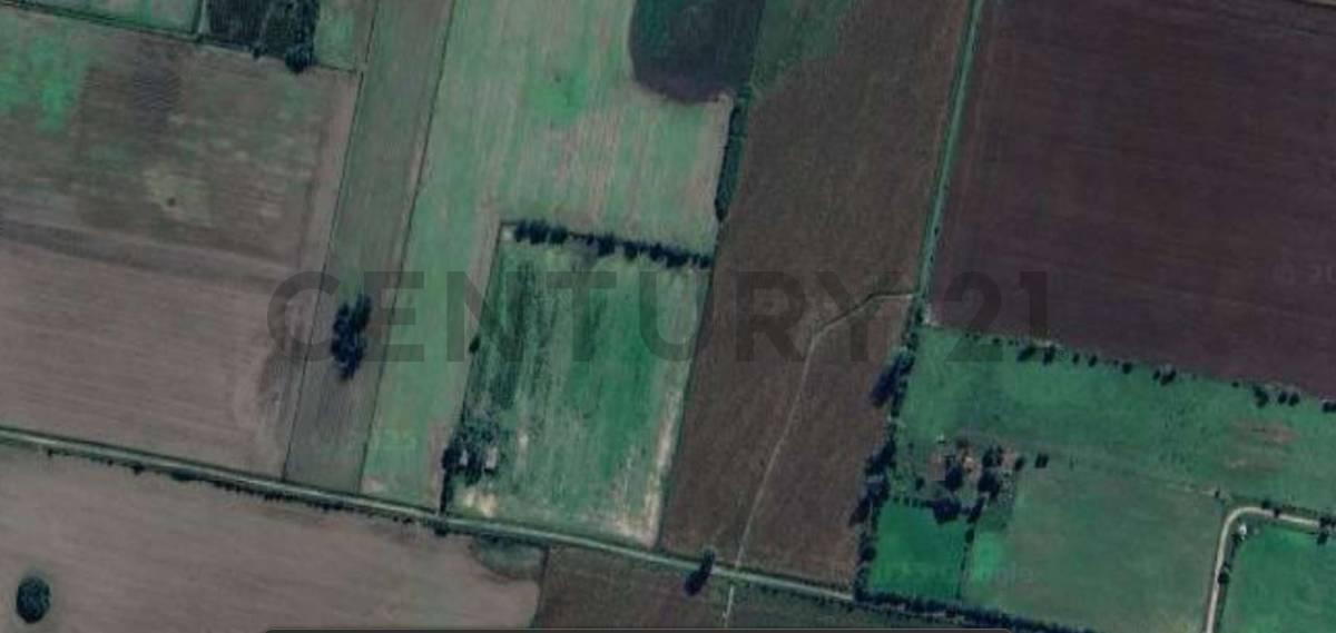 Foto de Campo agrícola 6 Hectareas (60000 m2) - Maciel - Proximidad Ruta 11, imagen 5