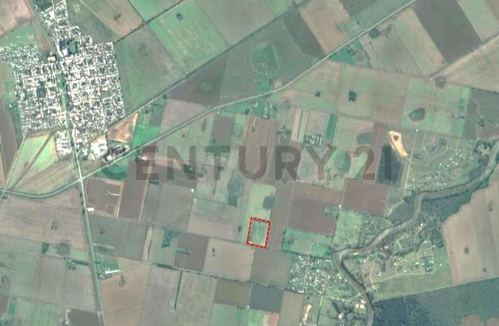 Foto de Campo agrícola 6 Hectareas (60000 m2) - Maciel - Proximidad Ruta 11, imagen 1