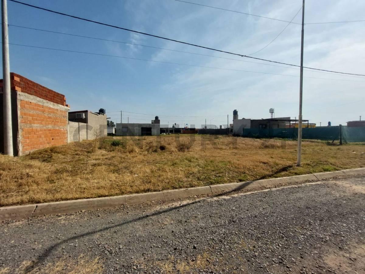 Foto de Lote en venta, imagen 5