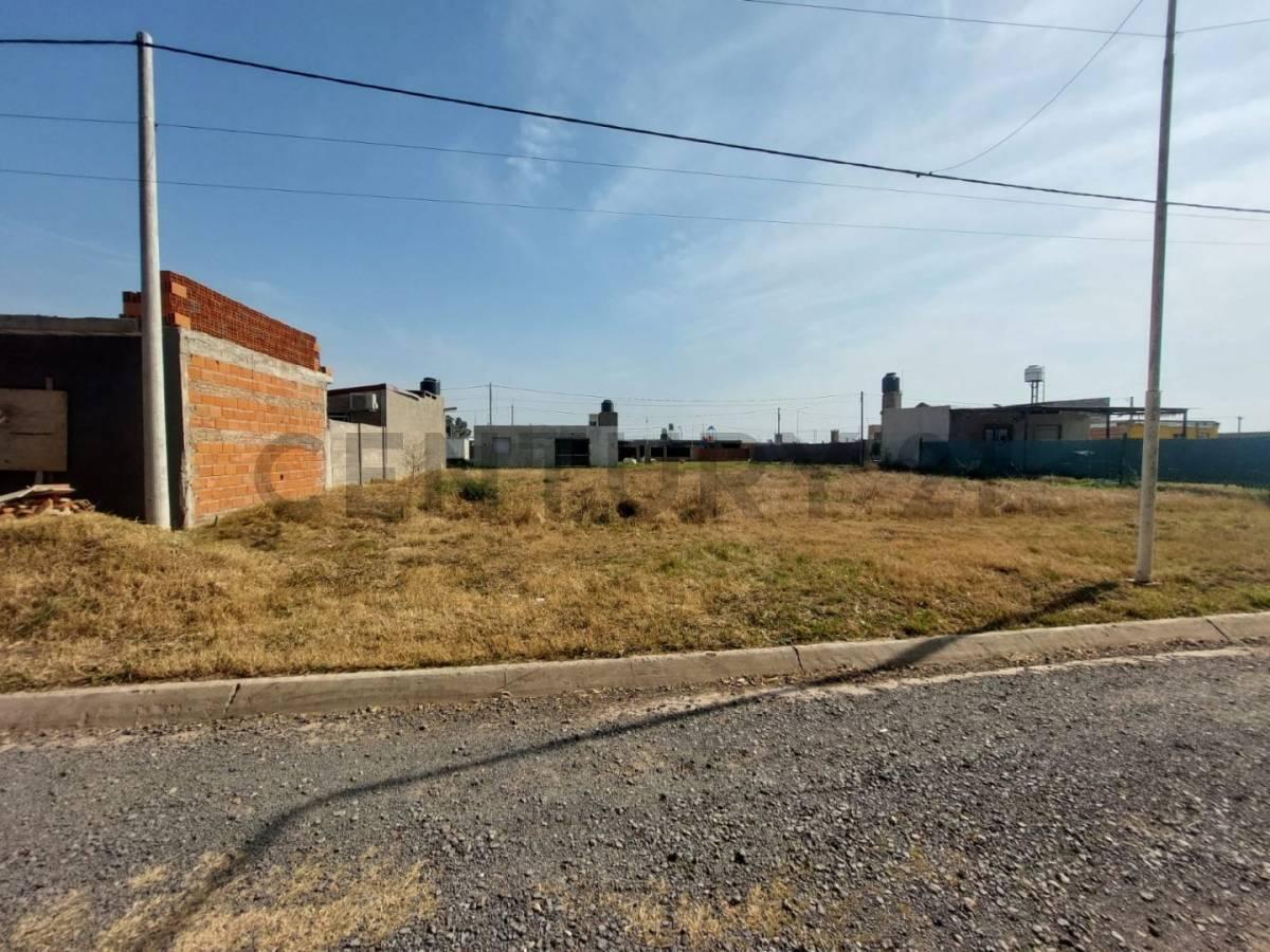 Foto de Lote en venta, imagen 4