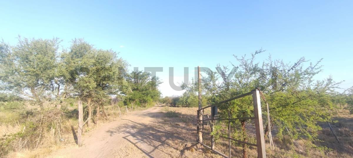 Foto de Campo en VENTA - Coronda/Arocena - 47 Hectáreas - sobre Río Coronda, imagen 4