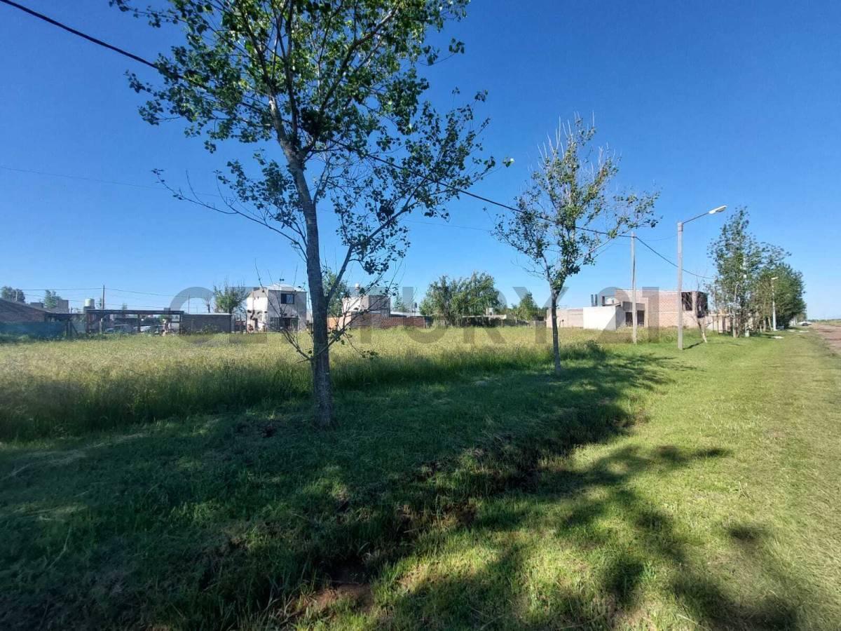 Foto de Venta Lote en Roldán. Tierra de Sueños III, imagen 3