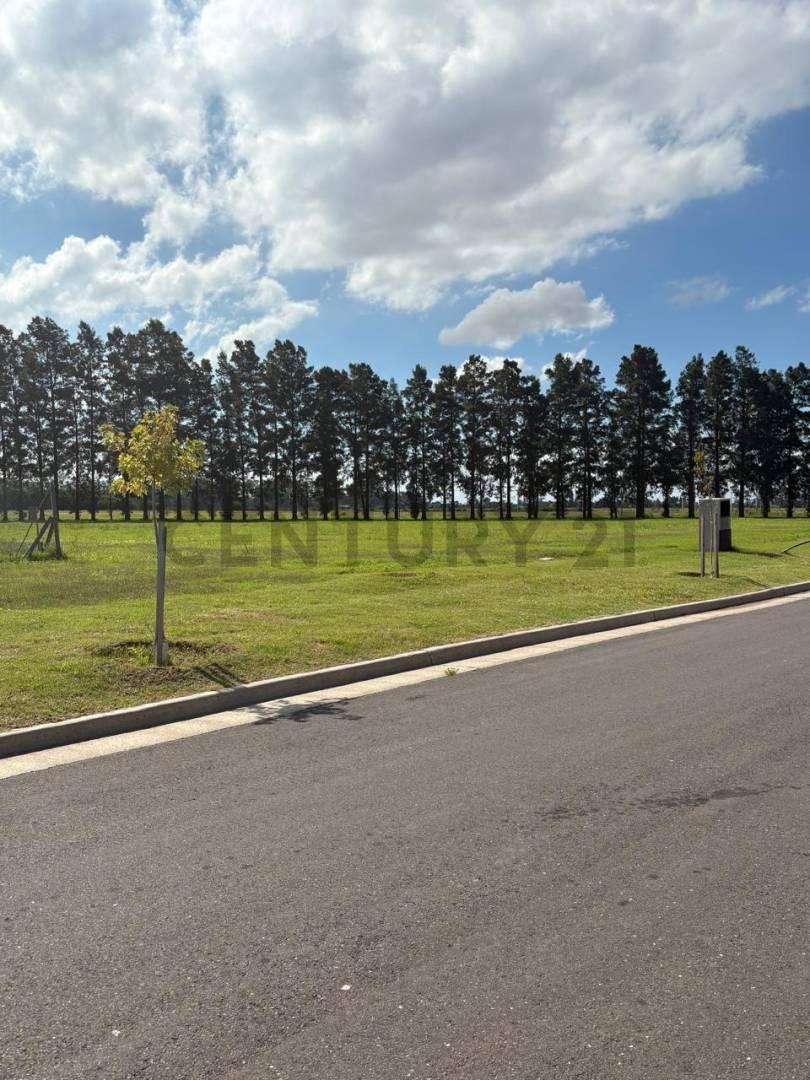Foto de Venta de Lote en el Barrio ECO LAGOS de General Lagos., imagen 5