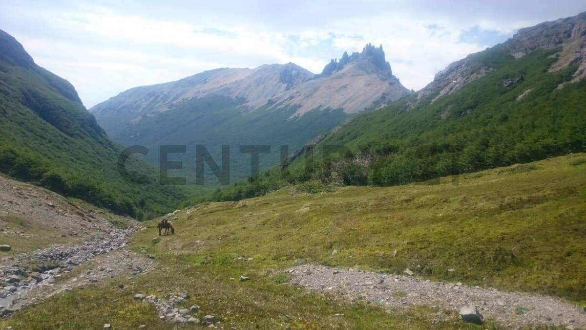 Foto de CAMPO - HUT DE INVERSION MULTIPROPOSITO EN CONCORVADO (CHUBUT), imagen 3